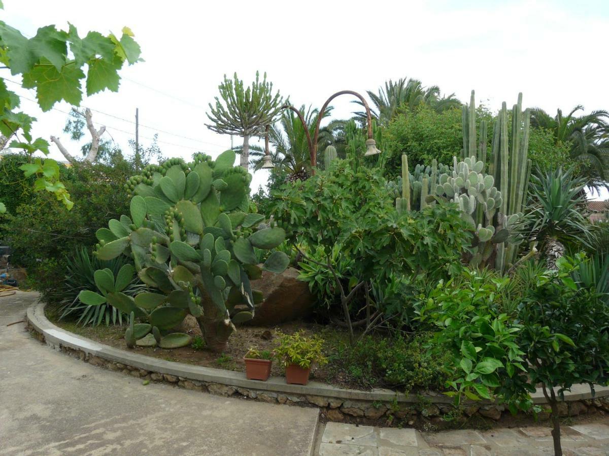 אבולה Villa Yucca מראה חיצוני תמונה
