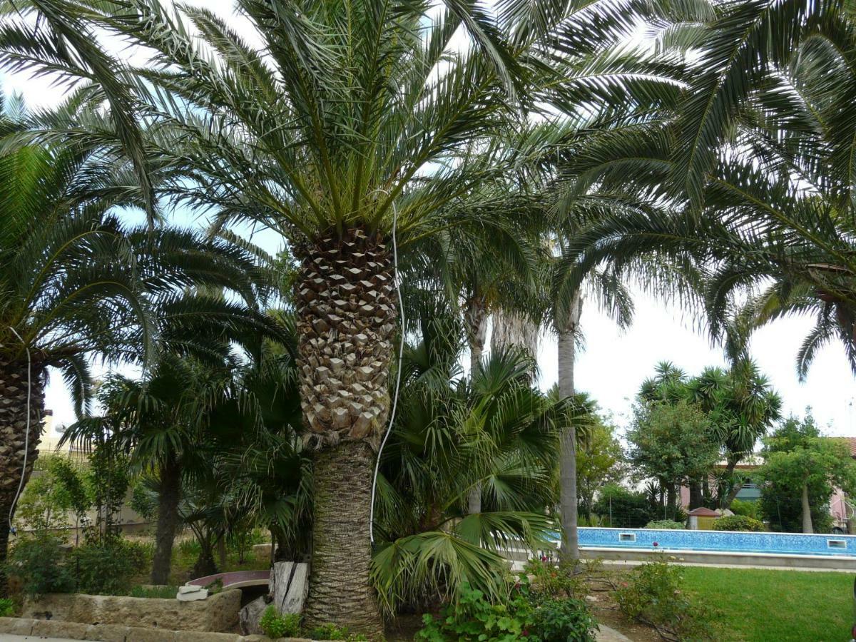 אבולה Villa Yucca מראה חיצוני תמונה