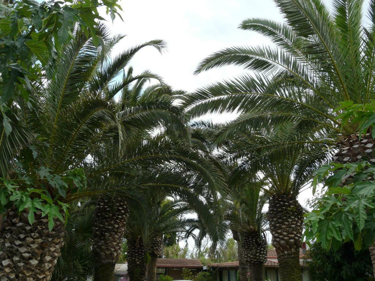 אבולה Villa Yucca מראה חיצוני תמונה