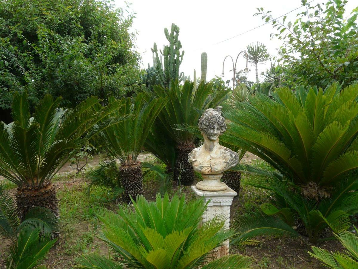 אבולה Villa Yucca מראה חיצוני תמונה