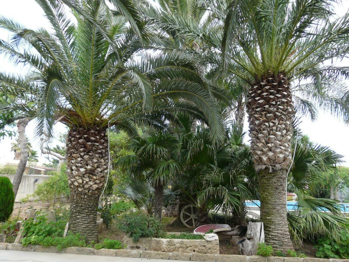 אבולה Villa Yucca מראה חיצוני תמונה