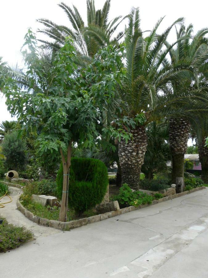 אבולה Villa Yucca מראה חיצוני תמונה
