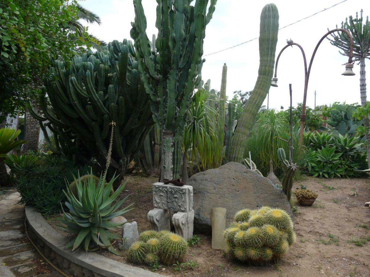אבולה Villa Yucca מראה חיצוני תמונה
